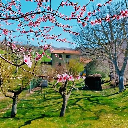B&B Luna E Stelle Premilcuore Eksteriør billede