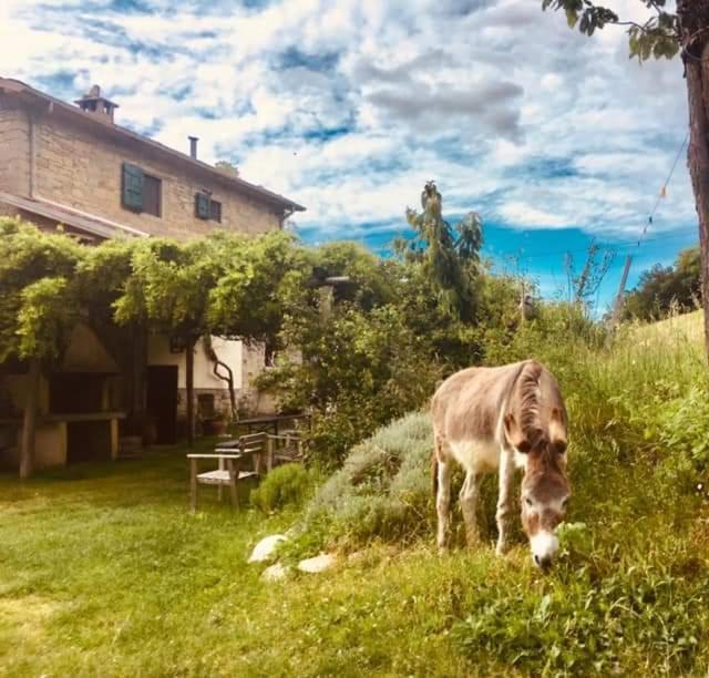 B&B Luna E Stelle Premilcuore Eksteriør billede